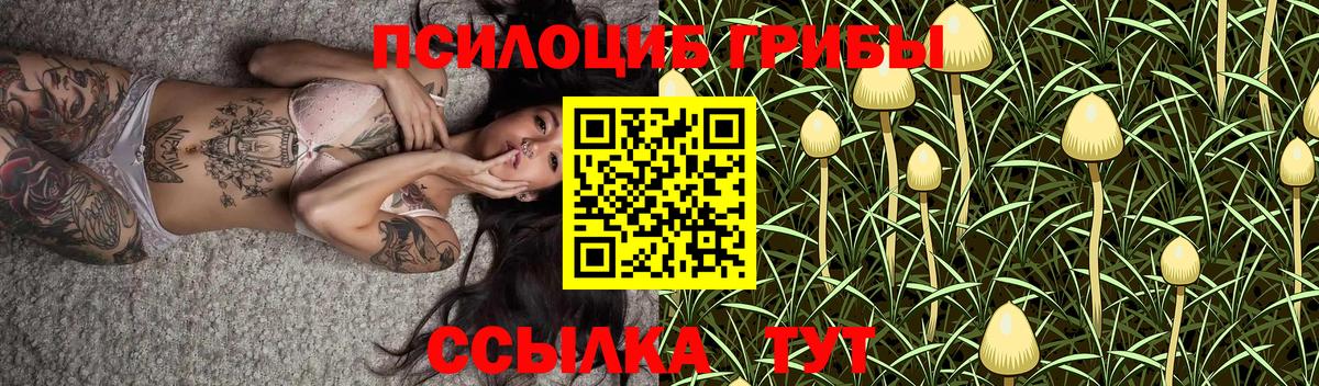 Урус-Мартан  Псилоцибиновые грибы Magic Shrooms  дарнет шоп  Вход с VPN 